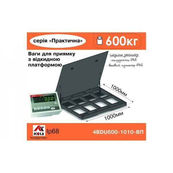 Ваги платформенні з відкидною платформою 4BDU600-1212ВП-П практичні 1250х1250 мм (до 600 кг) 015622 фото