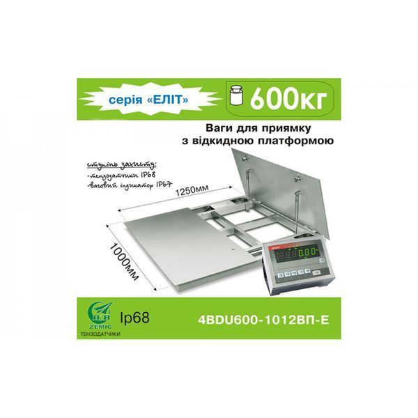 Платформенные весы с откидной платформой 4BDU600-1012 элит лифт 1000х1250 мм (до 600 кг) 002077 фото