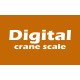 Digital crane scale